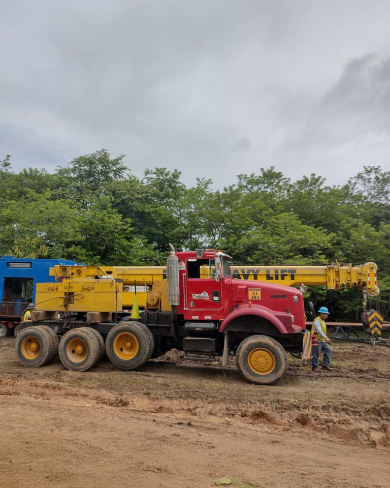 Camiones-con-wich (4)